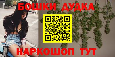 индика Берёзовский