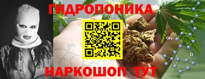 индика Берёзовский