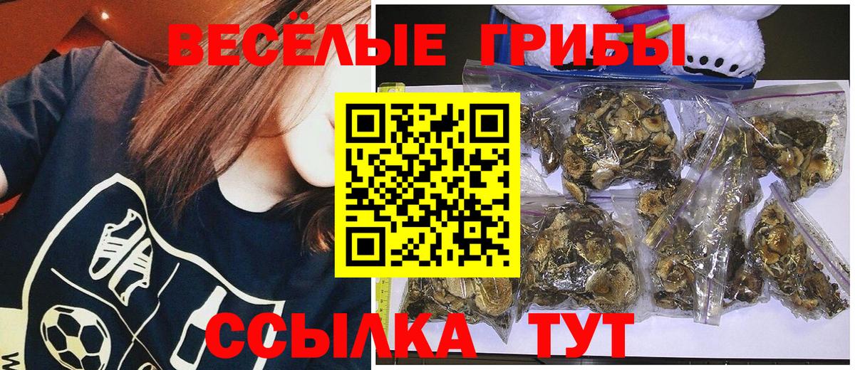 Галлюциногенные грибы GOLDEN TEACHER Иваново