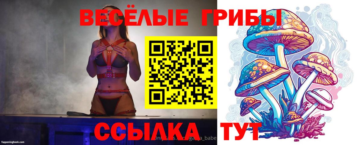 Псилоцибиновые грибы Psilocybine cubensis  Вход с VPN  Иваново 